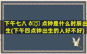 下午七八 🦋 点钟是什么时辰出生(下午四点钟出生的人好不好)